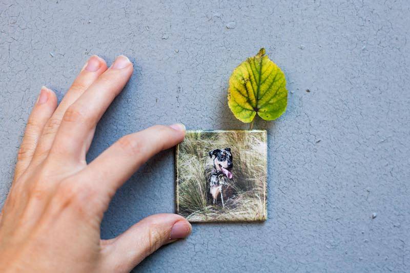 Square Photo magnet